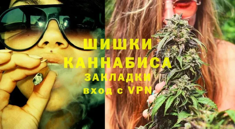 Конопля SATIVA & INDICA  купить наркоту  Сокол 